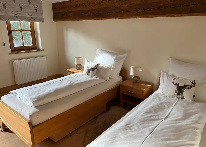 Fox Hole * 基茨比厄尔